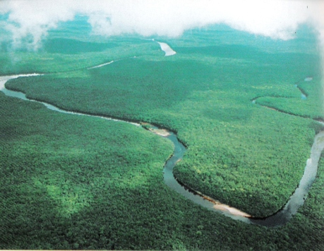 The Orinoco river. Venezuela is categorised as one of the world’s seventeen “mega bio-diverse” countries (wikipedia.org)