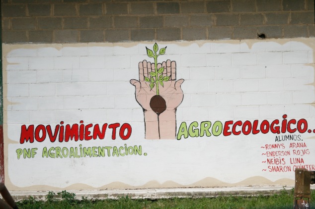 Cooperativa Aracal in the State of Yaracuy. Credit: William Camacaro